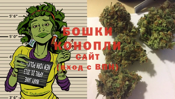 спиды Аркадак