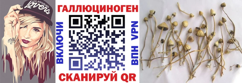 где купить наркотик  Пущино  mega маркетплейс  Псилоцибиновые грибы ЛСД 